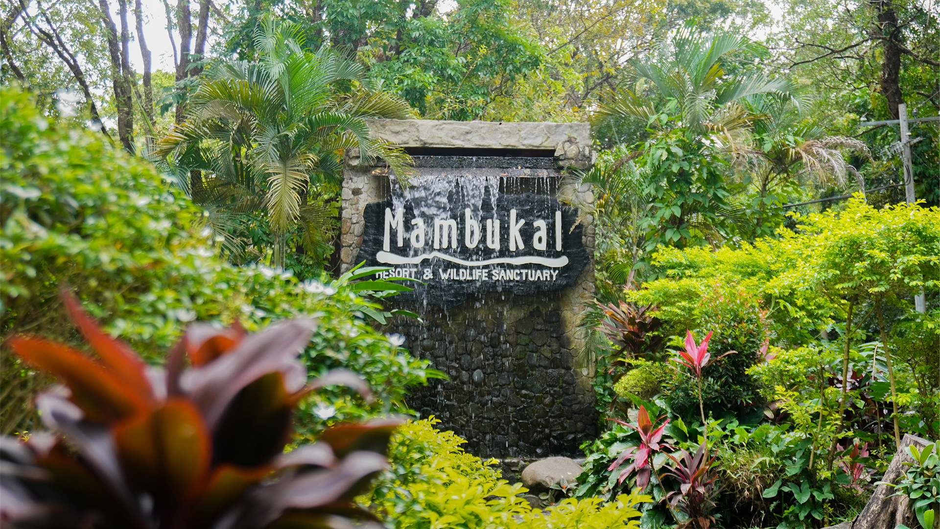 Mambukal Online Ticketing System platform preview